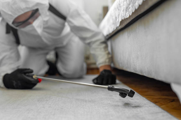 Professional Rodent Control technician working in Colstrip, MT