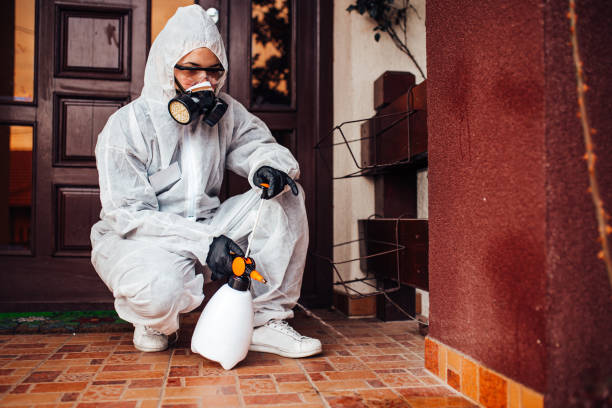 Reliable Rodent Control contractor in Colstrip, MT by Nex Pest Control